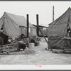 Tent of migratory workers employed at Fort Bragg, North Carolina. These tents were part of a small settlement at Manchester, North Carolina (about twelve miles from Fayetteville). They were paying a dollar a week for tent space--