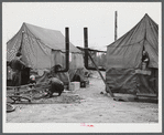 Tent of migratory workers employed at Fort Bragg, North Carolina. These tents were part of a small settlement at Manchester, North Carolina (about twelve miles from Fayetteville). They were paying a dollar a week for tent space--