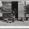 This shack for workers at Fort Bragg rented for five dollars a week. Near Fort Bragg, North Carolina.