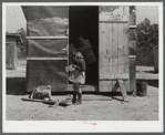 This shack for workers at Fort Bragg rented for five dollars a week. Near Fort Bragg, North Carolina.