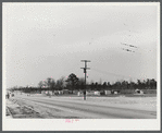 View of a settlement of shacks and trailers occupied by workers from Fort Bragg. Along Fayetteville--Fort Bragg road. North Carolina.