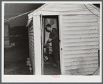 Cooking the evening meal in one of the bunkhouses at a settlement of workers from Fort Bragg. Near Manchester, North Carolina.