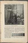Edison and the Röntgen Light