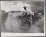 Henry Dukes, Negro FSA (Farm Security Administration) borrower, burning charcoal. Southwestern part of Heard County, Georgia.