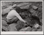 Son of Mr. Frank Cunningham, FSA (Farm Security Administration) borrower, gets some water from the spring, the only source for the family. Near Franklin, Heard County, Georgia.