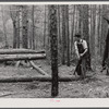 Lumbering. Heard County, Georgia.