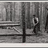 Lumbering. Heard County, Georgia.