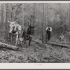 Hauling logs. Heard County, Georgia.