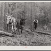 Hauling logs. Heard County, Georgia.