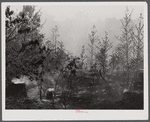 A brush fire in Heard County, Georgia.
