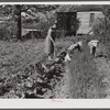 Mrs. Lemuel Smith and the children working in the garden. Carroll County, Georgia.