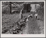 Mrs. Lemuel Smith and the children working in the garden. Carroll County, Georgia.