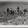 Lemuel Smith and son, Colie, working on his farm in Carroll County, Georgia.