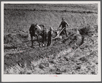 Lemuel Smith and son, Colie, working on his farm in Carroll County, Georgia.