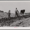 Lemuel Smith, FSA (Farm Security Administration) borrower, plowing; his son, Colie, planting peas. Carroll County, Georgia.