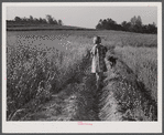 Iola Smith and her dog walking through a field on the Smith farm in Carroll County, Georgia.