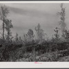 Brush fire in Heard County, Georgia.