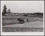 Mr. Hubbard plowing on his farm in Greene County, Georgia.