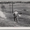 Liming a FSA (Farm Security Administration) pasture. Greene County, Georgia.