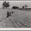 Negro tenant plowing on his farm in Heard County, Georgia.