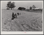 Negro tenant plowing on his farm in Heard County, Georgia.
