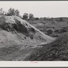 Sawdust pile. Heard County, Georgia.