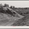 Sawdust pile. Heard County, Georgia.