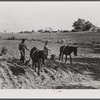 Lloyd Rhodes, Negro tenant, planting cotton. Near Bethany, Greene County, Georgia.