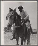 Negro cowhand in the Black Prairie region. Hale County, Alabama.