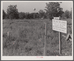 Lots for sale in Childersburg, Alabama. Stakes mark off the separate lots.
