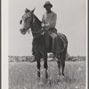 Negro cowhand in the Black Prairie region. Hale County, Alabama.