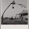 Negro farm family near Greensboro, Alabama who are participants in a FSA (Farm Security Administration) dairy co-op.