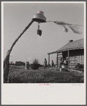Negro farm family near Greensboro, Alabama who are participants in a FSA (Farm Security Administration) dairy co-op.