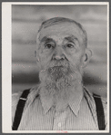 Mr. Sam Turner, one of the oldest residents of Greene County, Georgia. Near Liberty, Georgia.
