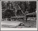 A small sawmill workings in southern Greene County, Georgia.