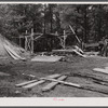 Impregnated pine posts to be used for fencing by FSA (Farm Security Administration). Greene County, Georgia.