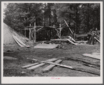 Impregnated pine posts to be used for fencing by FSA (Farm Security Administration). Greene County, Georgia.