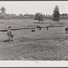 FSA (Farn Security Administration) prepared this pasture for a tenant purchase client who had a dairy herd. Near Greensboro, Greene County, Georgia.