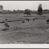 FSA (Farn Security Administration) prepared this pasture for a tenant purchase client who had a dairy herd. Near Greensboro, Greene County, Georgia.