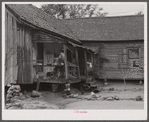 The home of Lloyd Rhodes, Negro tenant farmer near Siloam, Greene County, Georgia.
