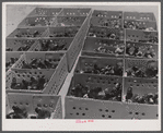 Some of the thousands of baby chicks brought by FSA (Farm Security Administration) as part of the Food for Defense Program. Greene County, Georgia.