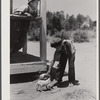 Two of the children of R. L. Smith playing with a sickly dog. FSA (Farm Security Administration) borrower. Woodville, Greene County, Georgia.