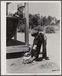 Two of the children of R. L. Smith playing with a sickly dog. FSA (Farm Security Administration) borrower. Woodville, Greene County, Georgia.