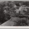 A gully near Penfield. Greene County, Georgia.