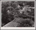 A gully near Penfield. Greene County, Georgia.