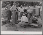 Inspecting newly-arrived chicks for the FSA (Farm Security Administration) Food for Defense program at the depot in Greensboro. Greene County, Georgia.