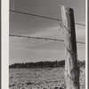 A FSA (Farm Security Administration) fence post. Greene County, Georgia.
