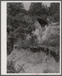 A gully near Penfield, Greene County, Georgia.