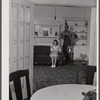 Mr. and Mrs. L. H. Cook, tenant purchase FSA (Farm Security Administration) family. Woodville, Greene County, Georgia.