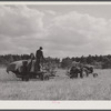 Harvesting wheat with a combine in northern Greene County, Georgia.